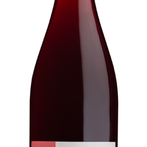 Cinsault