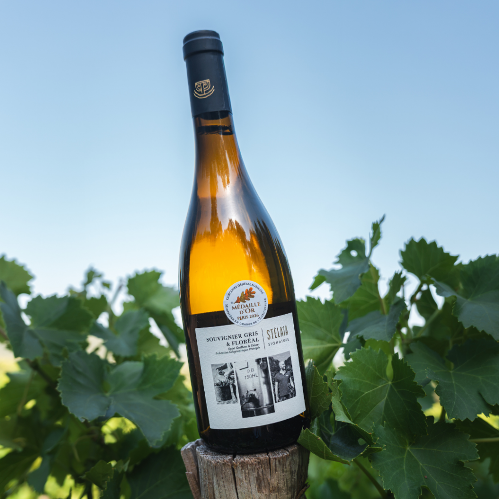Souvignier gris & Floréal